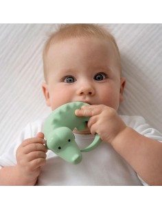 Animales safari, cocodrilo.... 2