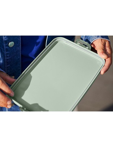 Caja almuerzo grande nordic sage con...