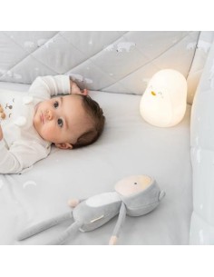 Luz de compañia Pingüino... 2