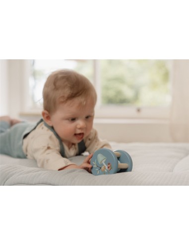 Roller forest friend. Little dutch