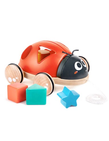Mariquita clasificadora de formas. Hape