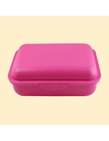 Tupper o fiambrera Bio con divisor .