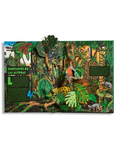 Libro Pop up bosques