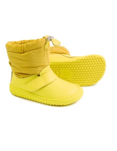 Bernia Rocker amarillo, microfibra. Zapato feroz. AW23.