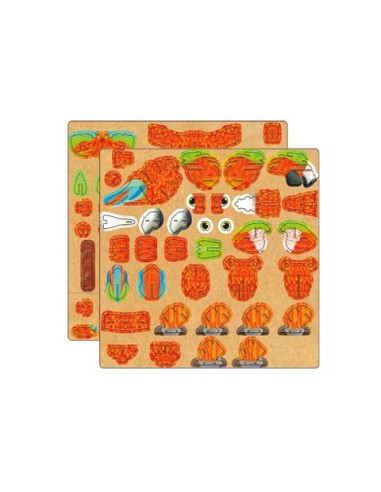 Mini puzzle 3D Loro. Mieredu