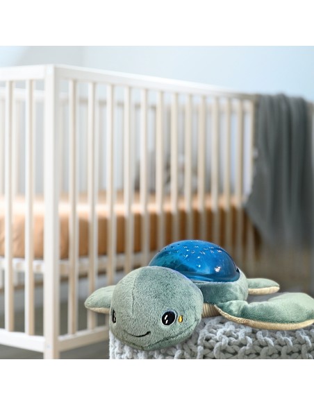 Proyector peluche Tortuga, Pabobo