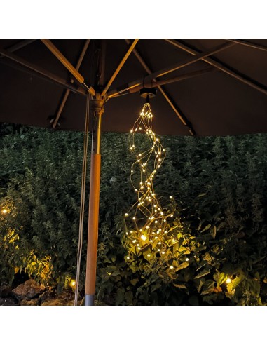 Lluvia de luces  Blatt & Blüte, Moses