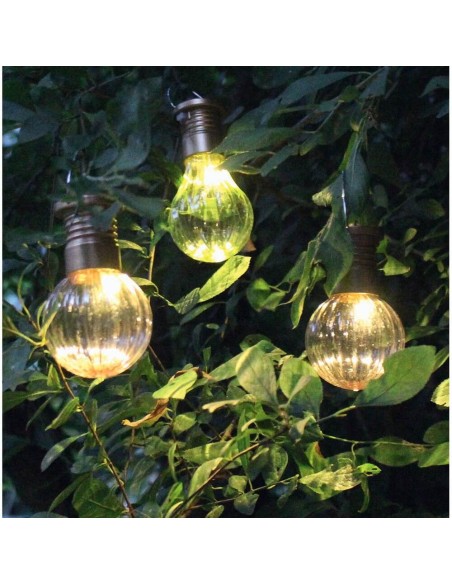 Luz solar pack de 3 Blatt & Blüte, Moses